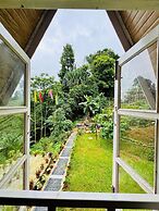 The Tea Tribe Stay - Offbeat Darjeeling