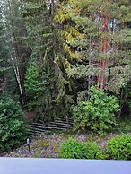 VUOKATIN AATELIN VALTIKKA