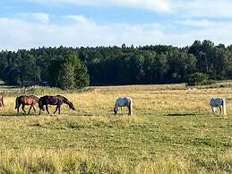 4 Person Holiday Home in Adelso