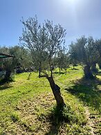 Villa Erato Keratea