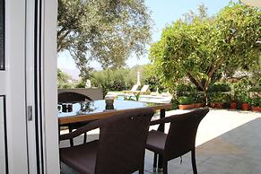 olive view