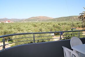 olive view