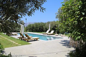 olive view