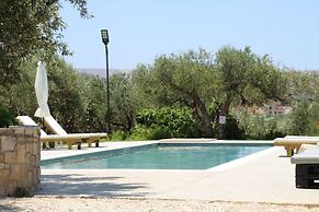 olive view