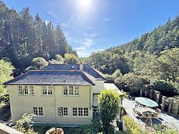 Lost In The Woods Lodge