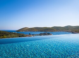 Breathtaking Villa Vis