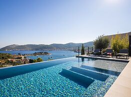 Breathtaking Villa Vis