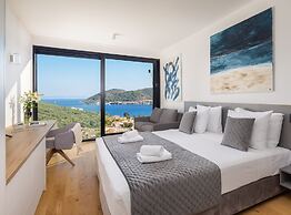 Breathtaking Villa Vis