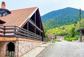 Aselinos Forest Estate