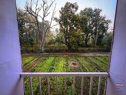 PILIBHIT Forest & Feast