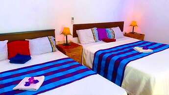 Aloe Home Stay