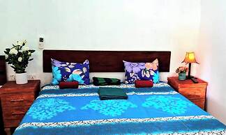 Aloe Home Stay