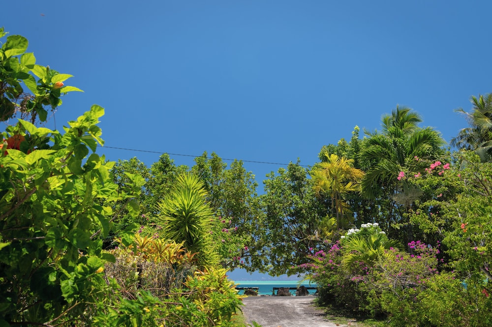 VILLA NOA NOA