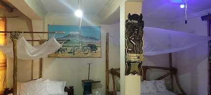 Jungle Lodge & Camping site