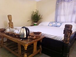 Jungle Lodge & Camping site