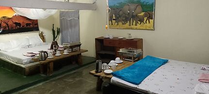 Jungle Lodge & Camping site