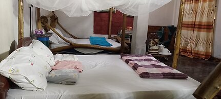 Jungle Lodge & Camping site
