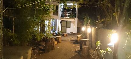 Jungle Lodge & Camping site