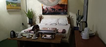 Jungle Lodge & Camping site