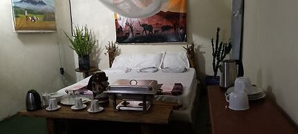 Jungle Lodge & Camping site