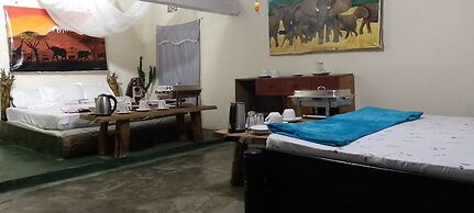 Jungle Lodge & Camping site