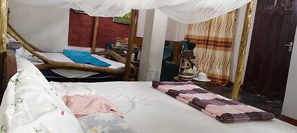 Jungle Lodge & Camping site