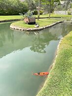 w Spacious 5BR Retreat Pool BBQ Games