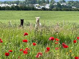 Stunning Holiday Cottage in Neulliac