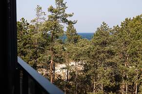 Duna Taras Shellter Rogowo Morze
