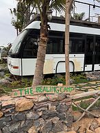 The Healing Camp