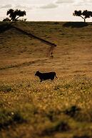 Herdade dos Moreiros