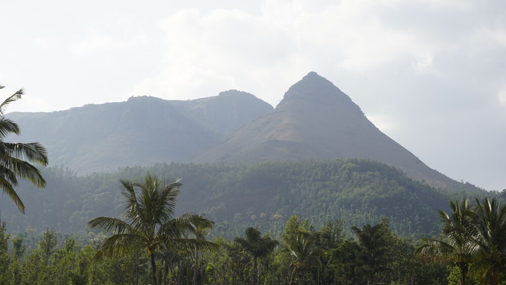 Hill Down Homestay
