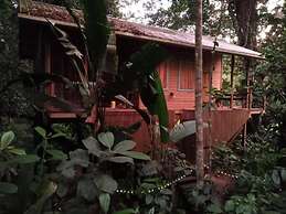 Jungle Paunch Cabins