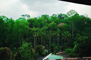 Wood Panda Luxury Resort Wayanad