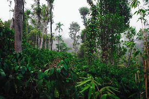 Wood Panda Luxury Resort Wayanad