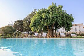 MASSERIA IL VIGNALE