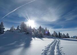 Chalet in Thyon-les Collons