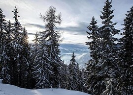 Chalet in Thyon-les Collons