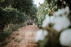 Finca Es Cabàs