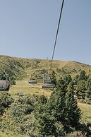 Alpin Peaks