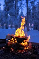 Lapland Nature & Health