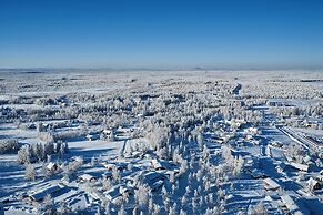 Lapland Nature & Health