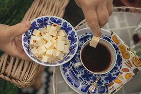 Lapland Nature & Health