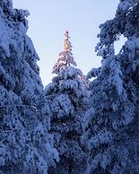Lapland Nature & Health
