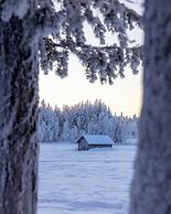 Lapland Nature & Health