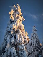 Lapland Nature & Health