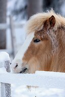 Lapland Nature & Health