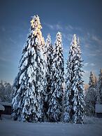 Lapland Nature & Health