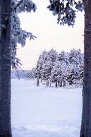 Lapland Nature & Health
