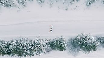Lapland Nature & Health